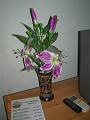 Thailand 2006 a020